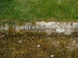 image of grave number 312755